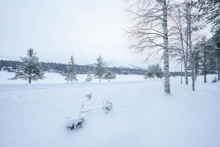 Miscellaneous 5, Kuuru Lakeside Suites, Lapland