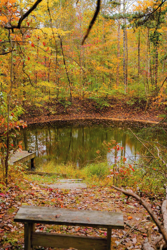 Lake 3, The 312 House A Boho Retreat Hocking Hills, Perry
