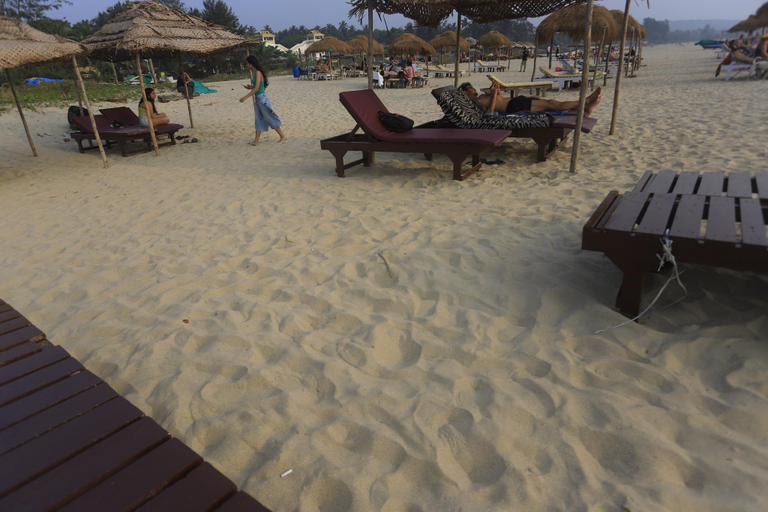 Others 5, Molly Nest, North Goa