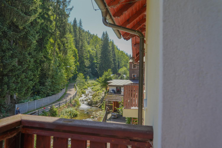 Others 5, Apartmany Lekarsky dum, Trutnov