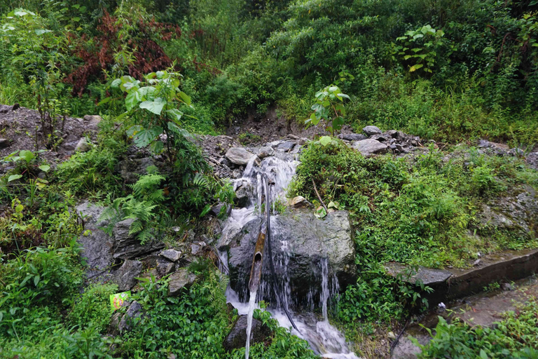 Garden 3, Springhill Farmstead, West Sikkim