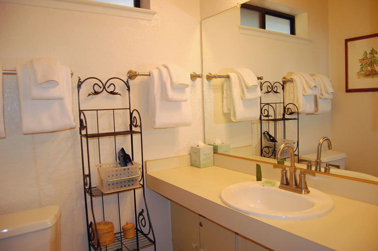 Bathroom 3, Big Cedar, Mariposa
