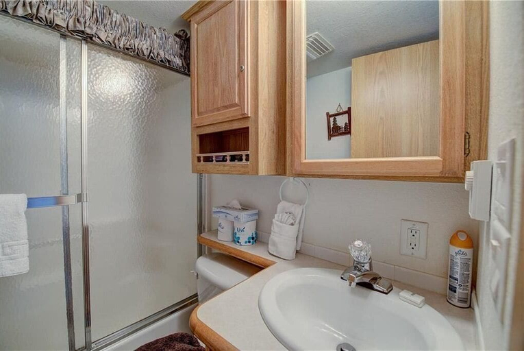 Bathroom, #160 Tiger Run, Summit