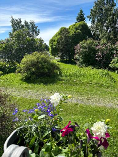 Garden, Unique apartment in Kemi with sauna department Free parking, Lapland
