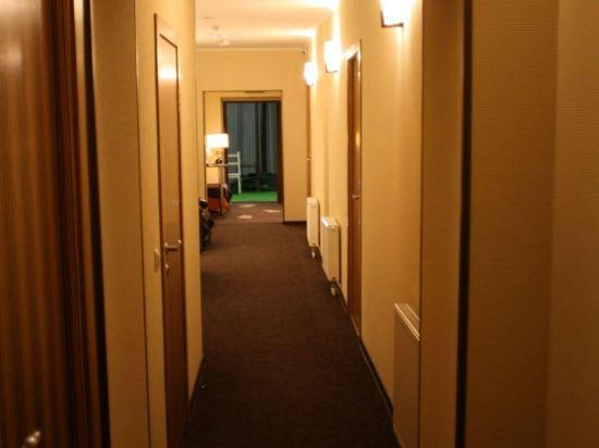 Others 4, Vnukovo Hotel Moscow, Leninskiy rayon
