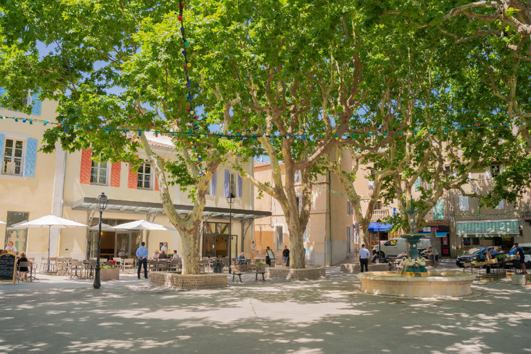 Exterior & Views 2, Sous les platanes, Bouches-du-Rhône