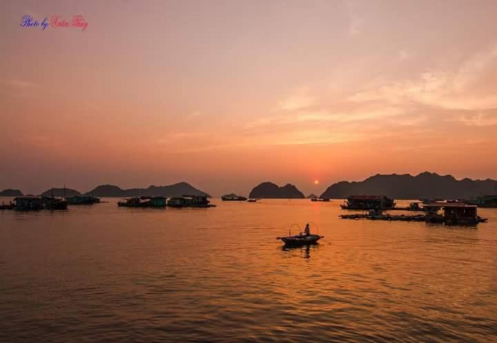 Others 4, Le Pont Hotel, Cát Hải