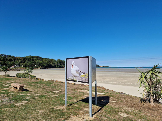 Others 4, Stay in Brittany House by St Michel, Côtes-d'Armor