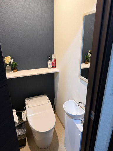 Bathroom, Petit Hotel Toujours Akihabara, Chiyoda
