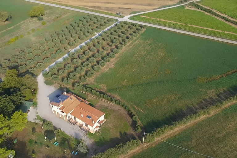 Others 5, Il Boschetto, Grosseto