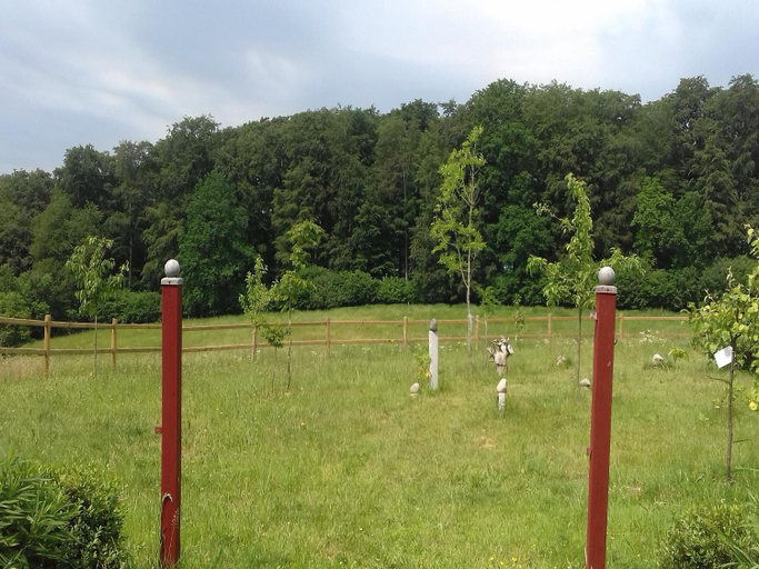 Garden 2, Reiterhof Bokensberg, Ostholstein