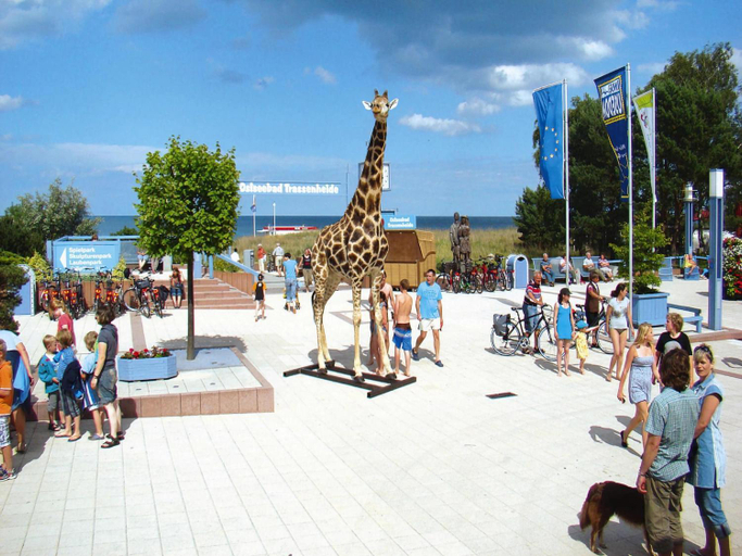 Others 4, Doppelhaushalfte Strandhaus I in Trassenheide, Vorpommern-Greifswald