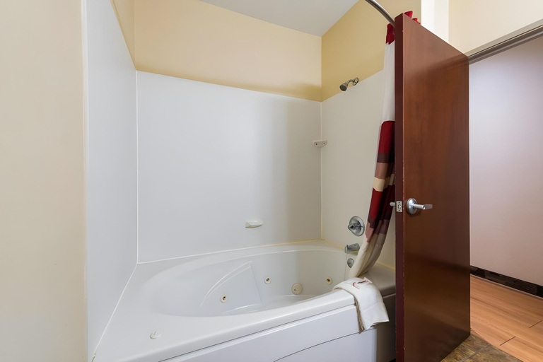 Bathroom, Red Roof Inn & Suites Monee, Will