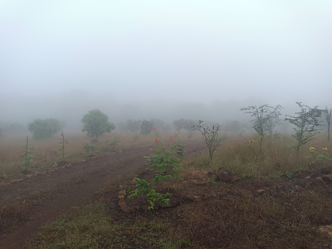 Miscellaneous 4, Tadmal Retreat N Resort, Raigarh