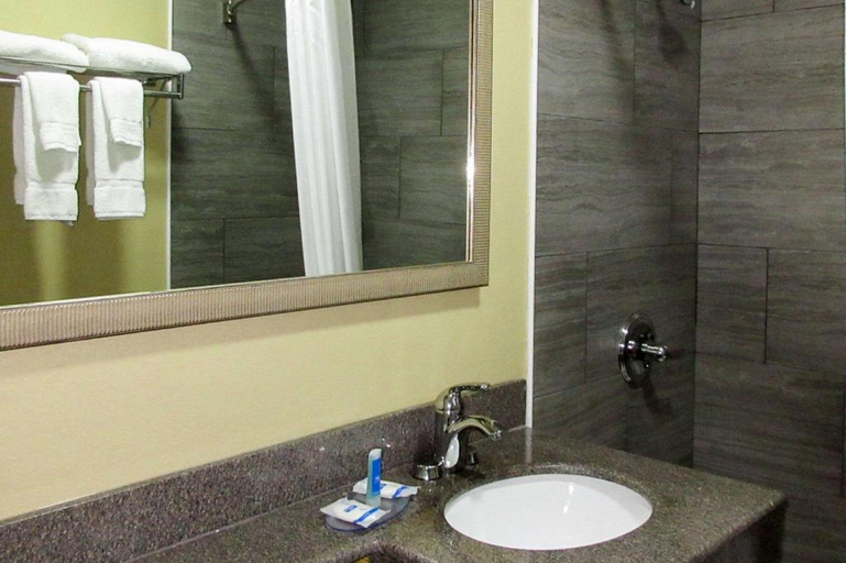 Bathroom, Rodeway Inn Murfreesboro Downtown, Rutherford