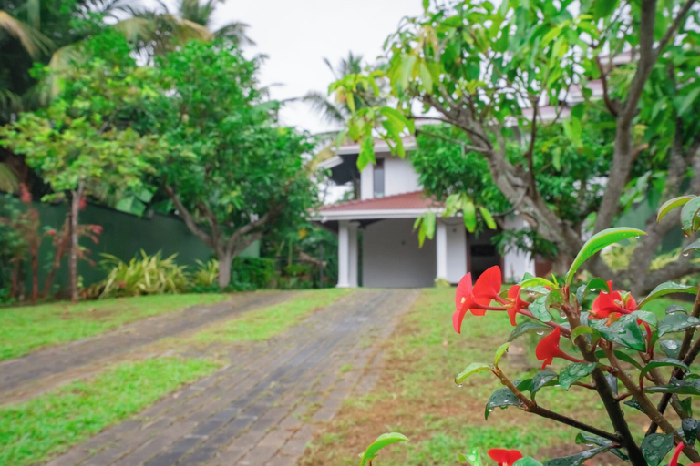 Exterior detail 3, Villa Amora Hikkaduwa, Hikkaduwa