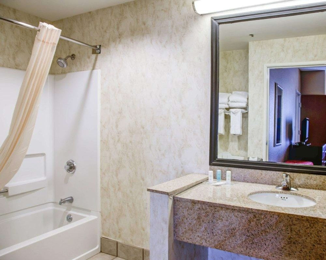 Bathroom 4, Comfort Suites Gadsden Attalla, Etowah