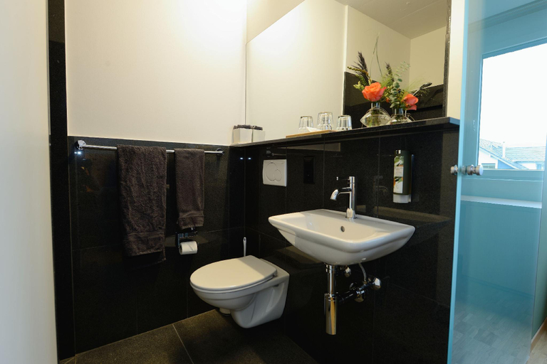 Bathroom 3, Hotel Profis, Rheintal