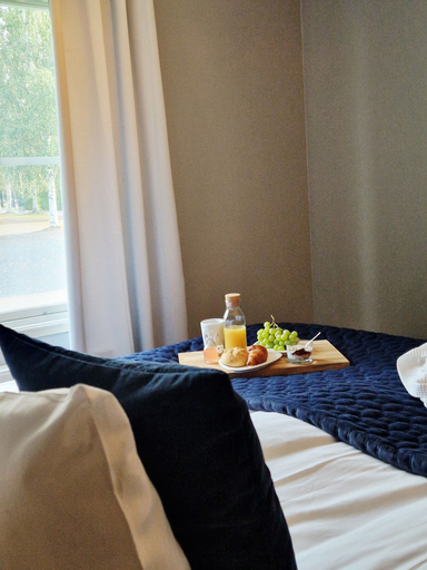 Bedroom 5, Rum För Resande, Skellefteå