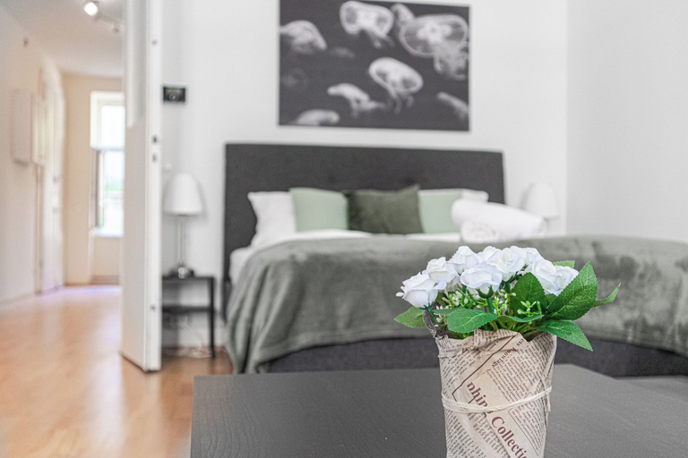 Room 5, Cute 2BR Apt Near AKH Hospital Central, Wien