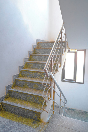 Interior, Roomshala Hotel In Jangpura, Delhi