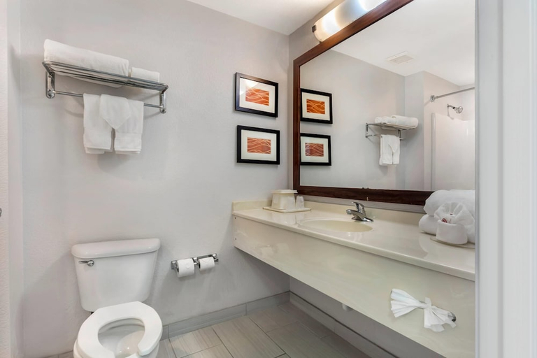 Bathroom 4, Comfort Inn & Suites Red Oak - Dallas Area, Ellis