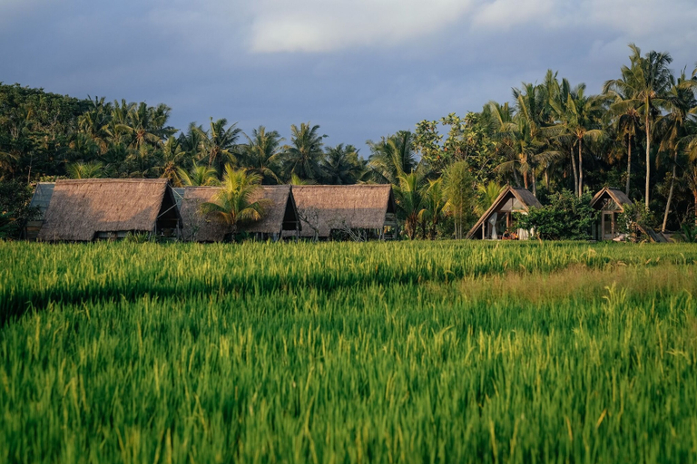 Miscellaneous 2, Awan Ubud, Gianyar