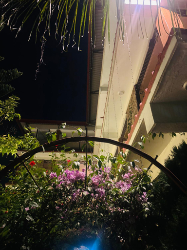 Others 3, Hotel Sauraha Village, Narayani