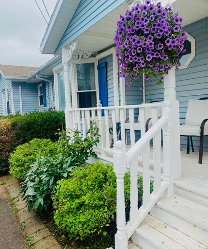 Exterior & Views 3, Lee's Ocean Peek B & B, Queens