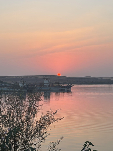 Miscellaneous 2, sharty, Unorganized in Aswan