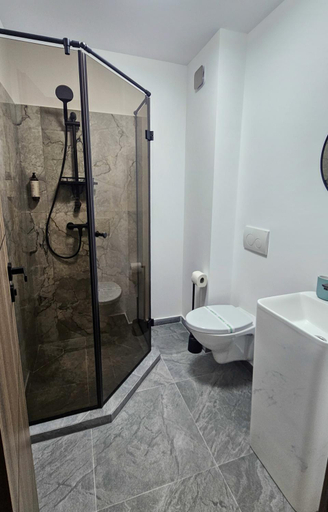 Bathroom 4, Burgundy, Strejnicu