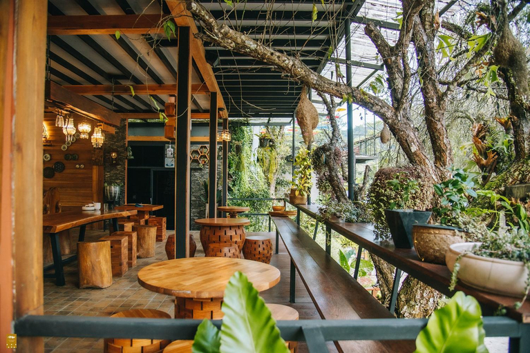 Food & Drinks 5, Bann Noon Norn Mae Jam, Mueang Pan