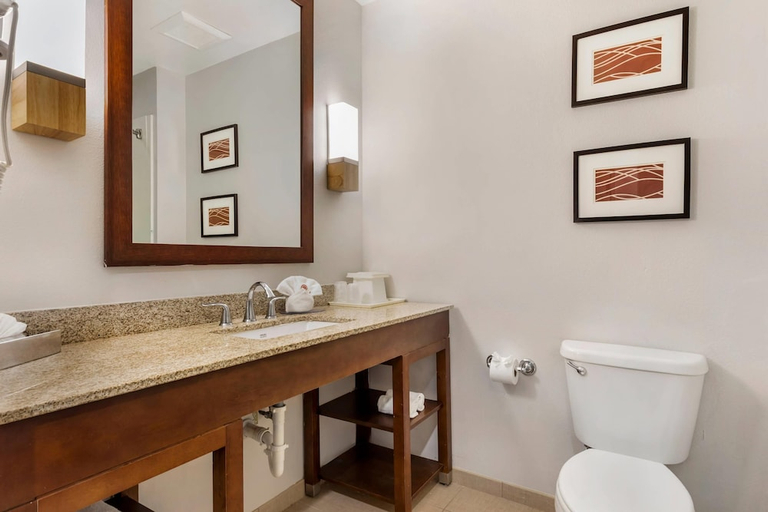 Bathroom 4, Comfort Inn & Suites Red Oak - Dallas Area, Ellis