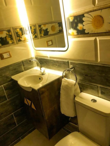 Bathroom 3, sharty, Unorganized in Aswan