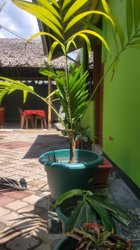 Sport & Beauty 5, L &j modern backpackers BnB, Kinondoni