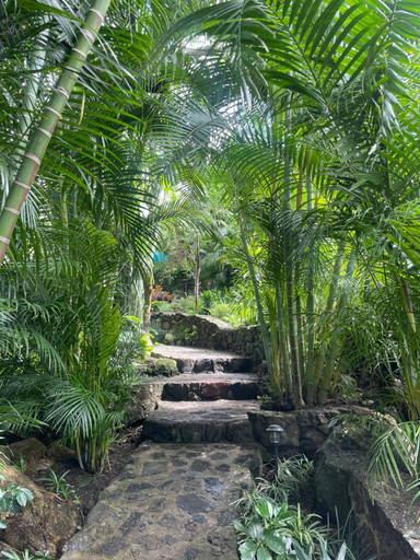 Public Area, Casa d'Lobo Hotel Boutique, Joquicingo