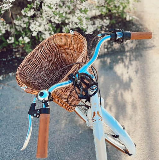 Bicycling, Vila Slavia, Zlín