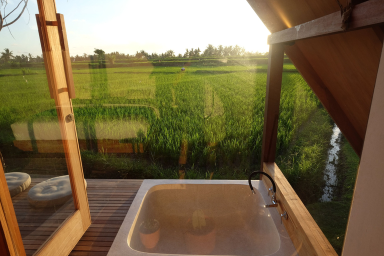 Property grounds 4, Awan Ubud, Gianyar