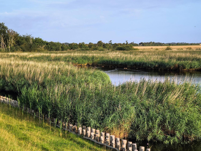 Others 5, Ferienwohnung Sturmeck, Fehmarn-Orth, Ostholstein