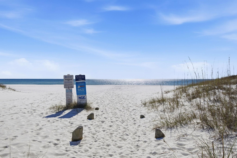 Beach 2, The Yellow Rose #3, Baldwin