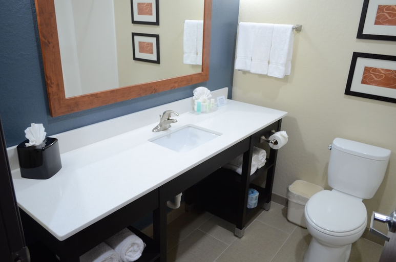 Bathroom 5, Comfort Suites Northwest - Cy - Fair, Houston