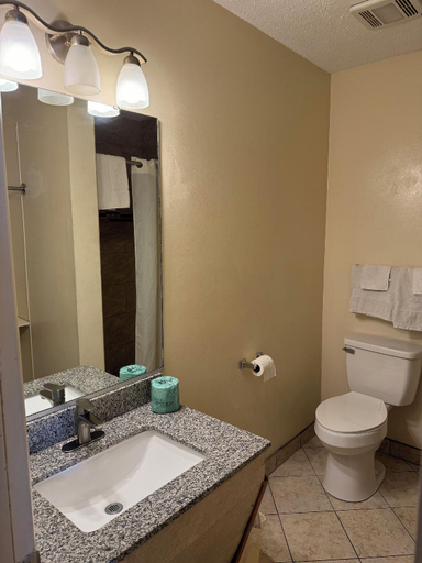 Bathroom 3, Snowbird Motel, Liberty