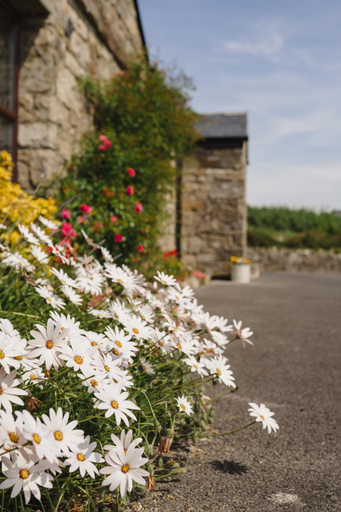 Others 2, Creevy Cottages