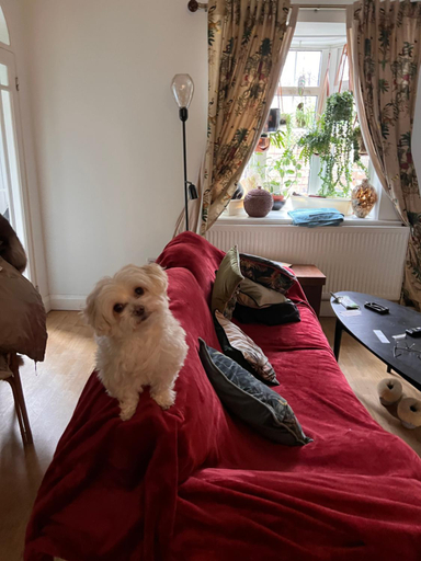 Bedroom 2, The Nest - Beautiful conservation home - 20m to town, London