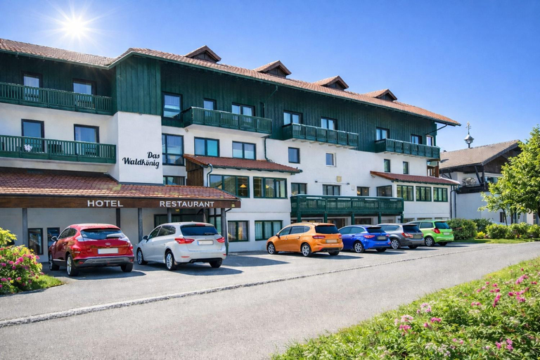 Others 5, Hotel Das Waldkonig, Regen