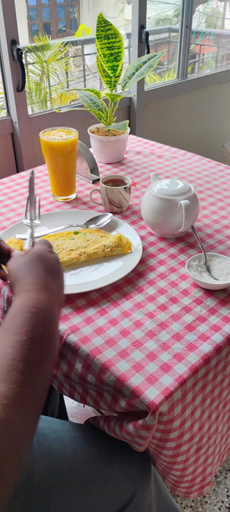 2, MOTHER TREE INN, Ernakulam