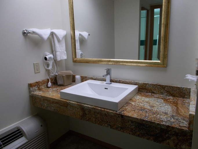 Bathroom 2, Fort Davidson Hotel, Iron