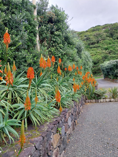 Others 4, Sitio da Assumada, Lajes das Flores