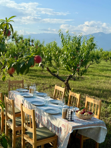 Food & Drinks 4, Mestvireni, Telavi