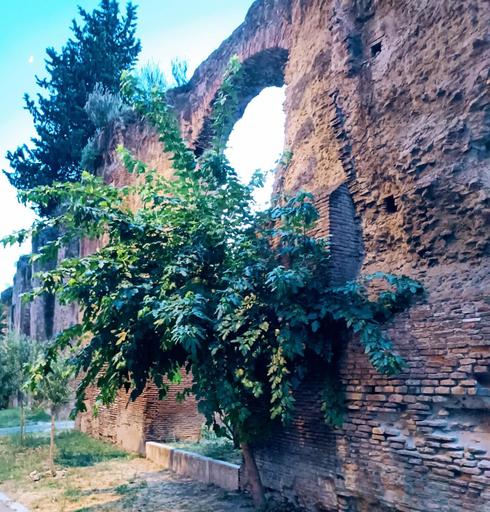 Others 5, PORTA MAGGIORE 9 ROMA Locazione Turistica, Roma